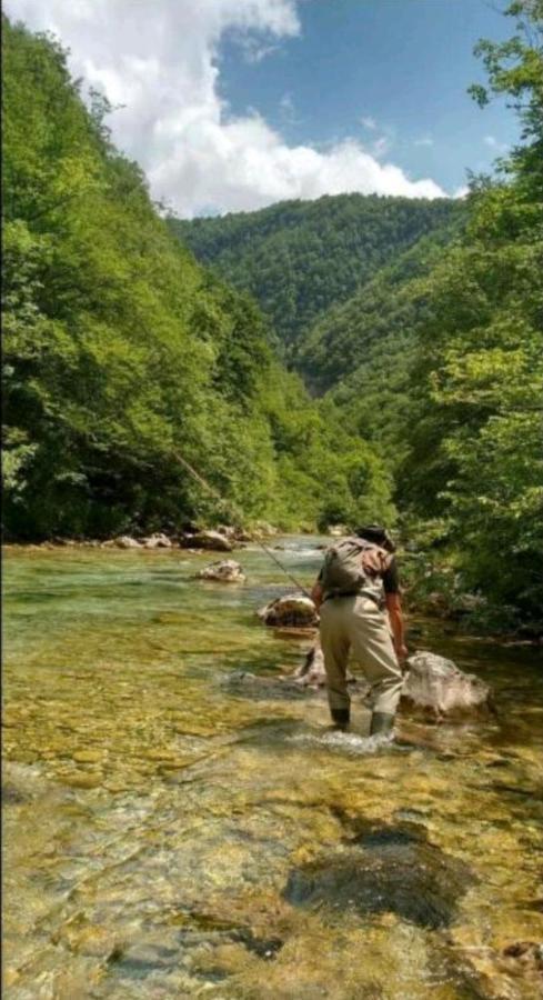 Village House Gradac Savnik المظهر الخارجي الصورة